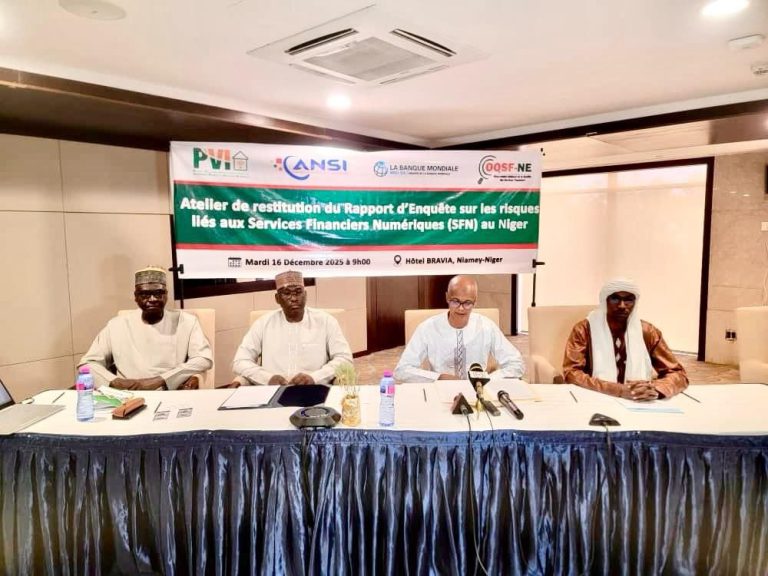 Services Financiers Numériques au Niger : renforcer la confiance et la protection des usagers.